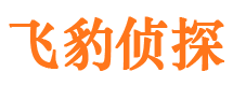 乌恰市调查公司